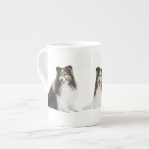 Mistura de Sheltie & caneca do fósforo