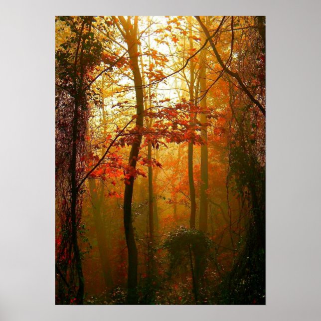 Misty Autumn Morning Poster (Frente)