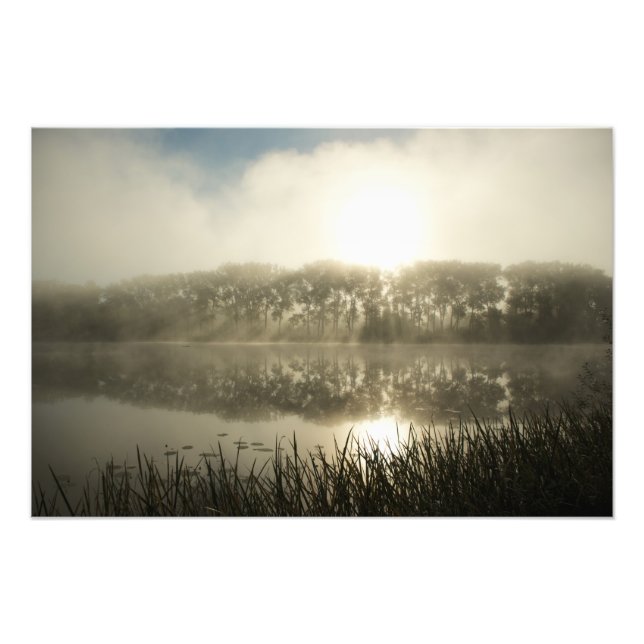 Misty manhã - foto (Frente)