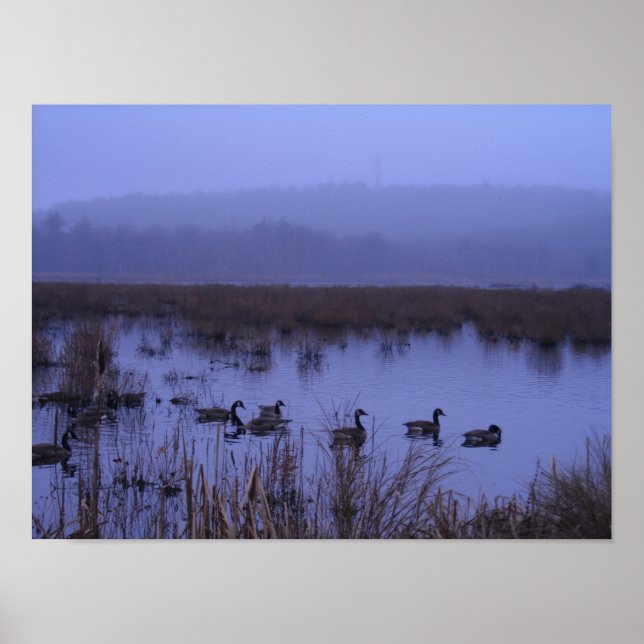 Misty Marsh Fotografia Poster (Frente)
