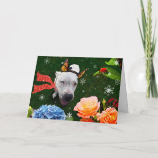 Mitzy the Mariposa, Cartão de Cartões de natal