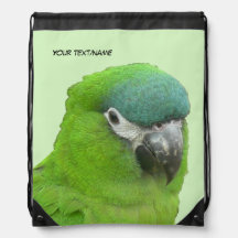 Mochila de Desenho Lorikeet Verde