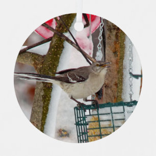 Mockingbird