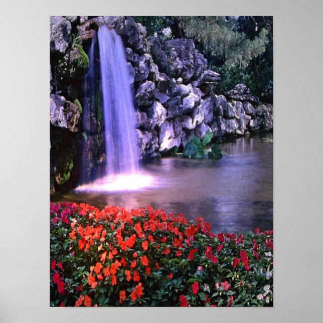 Moda d'água colorida com poster de flores (Frente)