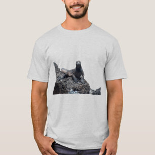 Modelo básico do t-shirt