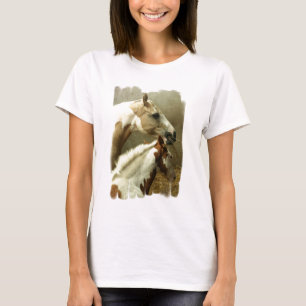 Modelo básico do t-shirt das senhoras -