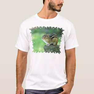 Modelo básico do t-shirt - personalizado