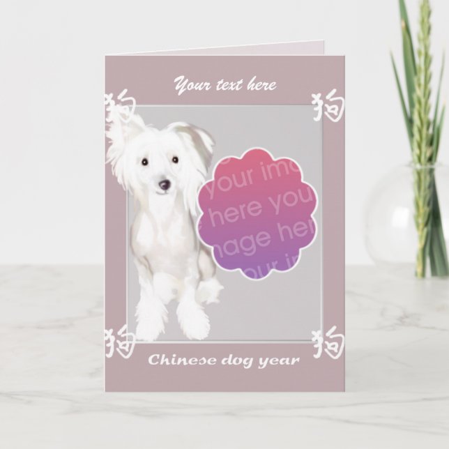 Modelo chinês do ano do cão (Frente)