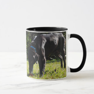 Modelo da Dois-Imagem da caneca
