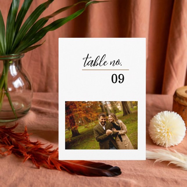 Modelo da placa de número da tabela de fotos (Criador carregado)