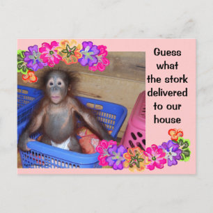 modelo de Anúncio de Nascimento