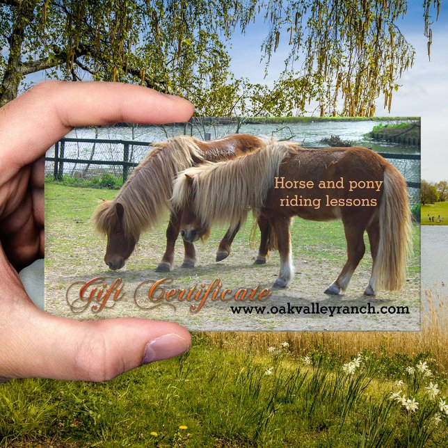 Modelo de Certificado de Presente de Lições Analít (Gift certificate template for horse or pony riding lessons - equestrian - equine)