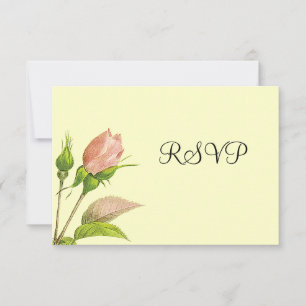 Modelo de Convite RSVP de RSVP de Rosebud Rosa