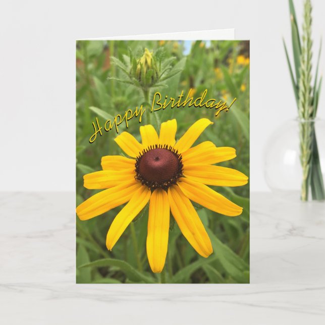 Modelo de Flor de Rudbeckia Laranja Bonita  (Frente)