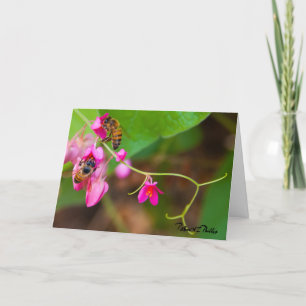 Modelo de Flores de Coral Vine com Abelhas Pensand