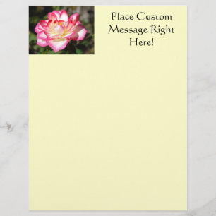 Modelo de Flyer Rosa Branco Rosa Amarela Flyer