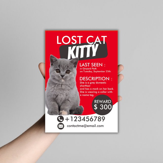 Modelo de Folheto de Gato Perdido - Pet Ausente Pe (Criador carregado)