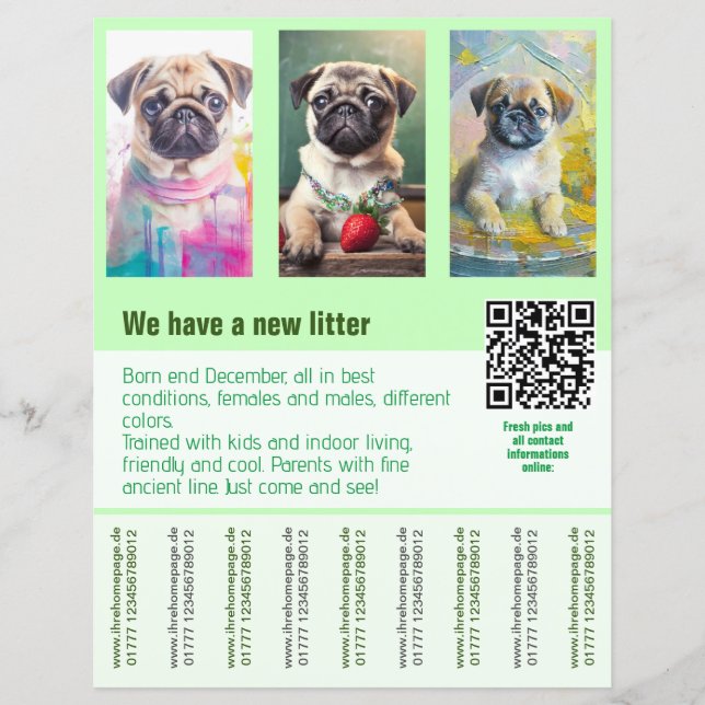 modelo de folheto de venda de filhotes de Pug códi (Frente)