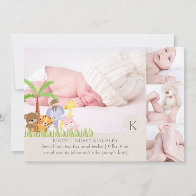 modelo de foto da selva de safari PixDezines (Frente)