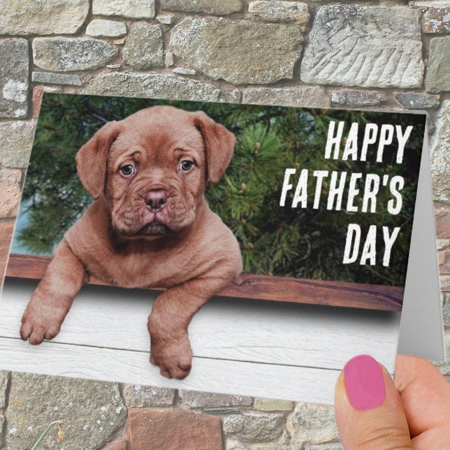 Modelo de Foto de Cachorrinho Marrom Fofo para Dia (Criador carregado)