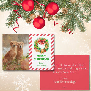 Modelo de Foto de Natal de Animal de Estimação Mod