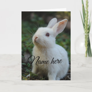 Modelo de foto de nome de animal de estimação simp