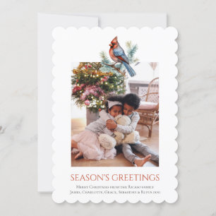 Modelo de Foto de Pássaro Cardinal de Natal