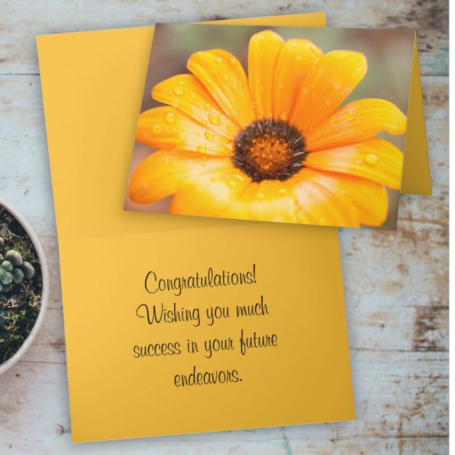 Modelo de Foto de Perto da Margarida Africana Flas (cover and inside template text greeting card)