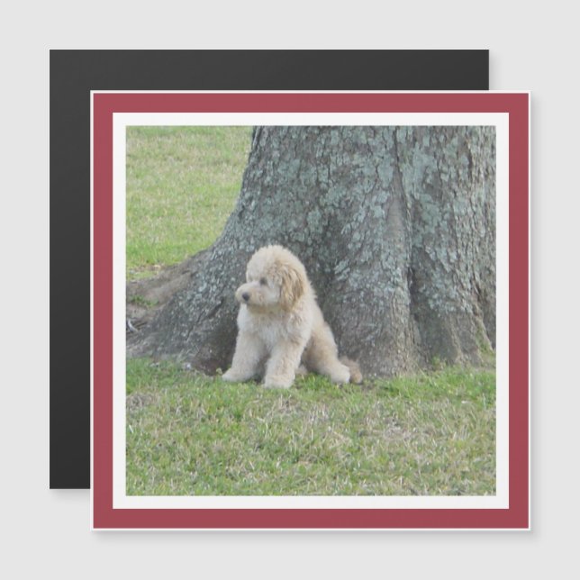 Modelo de Foto Quadrada Personalizada Ímã com Mold (Frente/Verso)