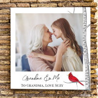 Modelo de Fotografia da Família Red Cardinal