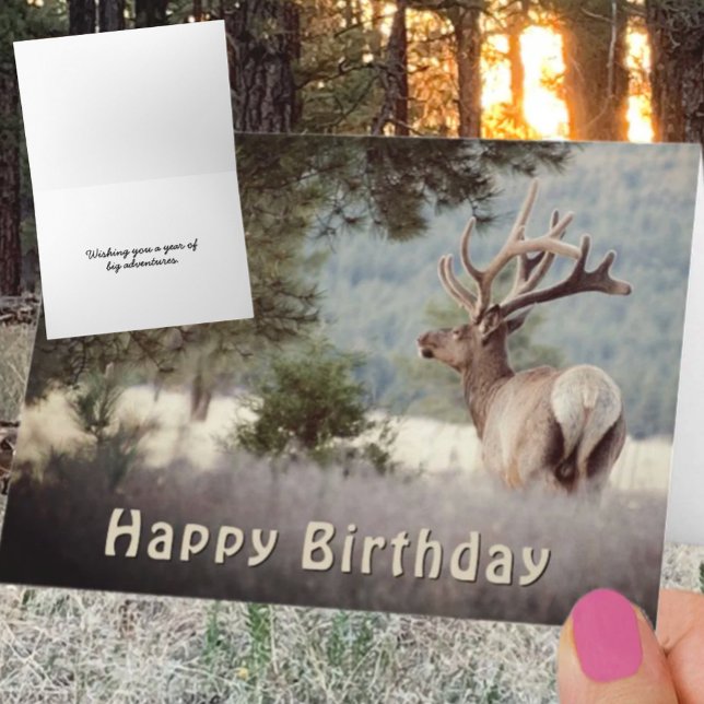 Modelo de fotografia de aniversário de Alce Macho (Bull elk photograph greeting card cover with front and inside template text. )
