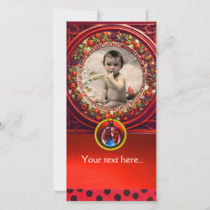 MODELO DE FOTOGRAFIA DO CHÁ DE FRALDAS LADYBUG PR