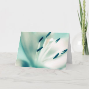 Modelo de placa de saudação ~Flor de lírio Patchou