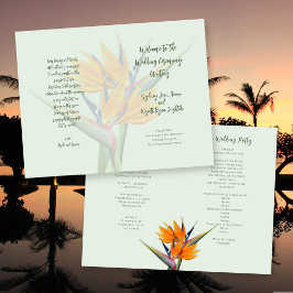 Modelo de Programa de Casamento Ave do Paraíso