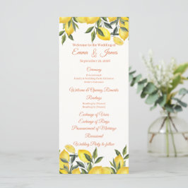 Modelo de Programa de Casamento Personalizado Lemo