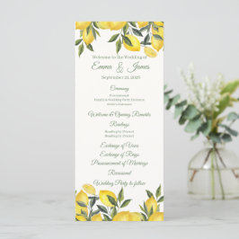 Modelo de Programa de Casamento Personalizado Lemo