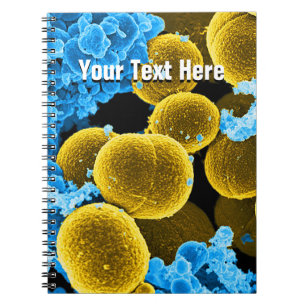 Modelo do caderno do abstrato da microbiologia da