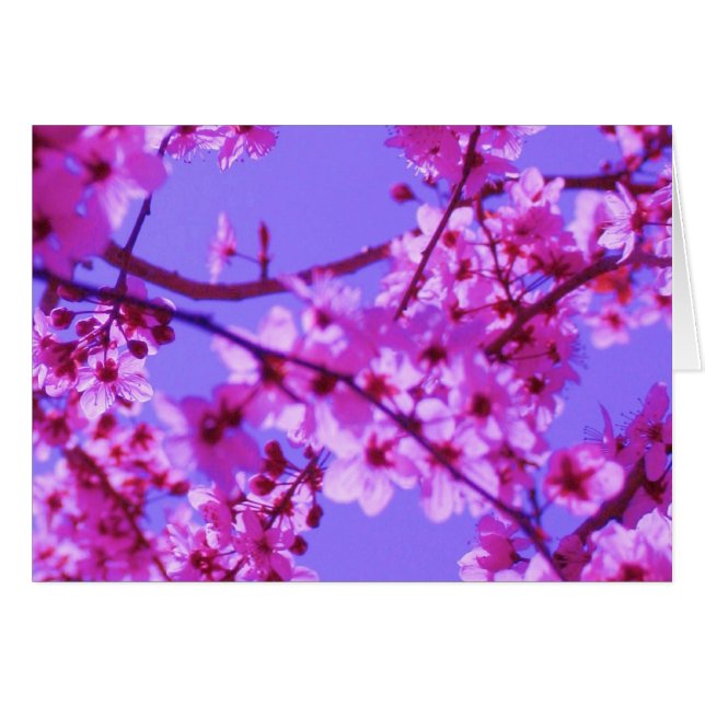 Modelo do cartão de Sophie (Frente Horizontal)