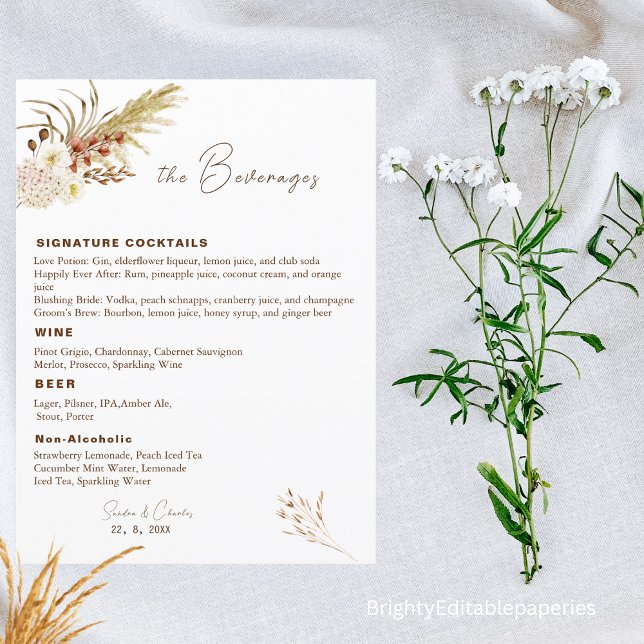 Modelo do Menu Drink Pampas (Criador carregado)