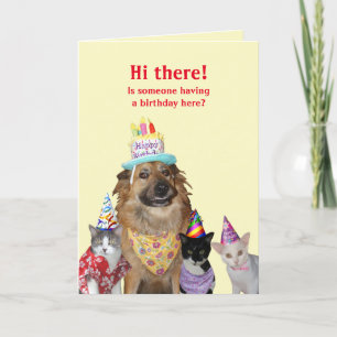 Modelo engraçado para o aniversário