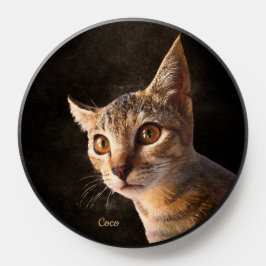 Modelo Personalizado de Pet Cat ou Foto de Cão