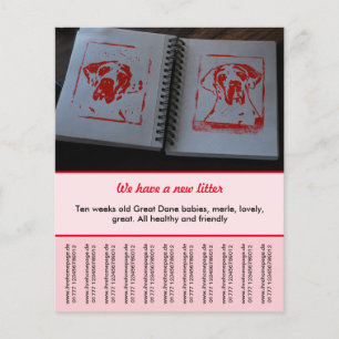 modelos de folheto para venda