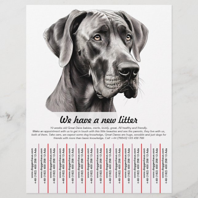 modelos de folheto para venda (Frente)