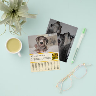 modelos de panfletos de venda de cachorro