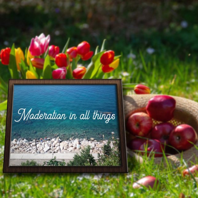 Moderação em todas as coisas poster do proverbo ma (Criador carregado)