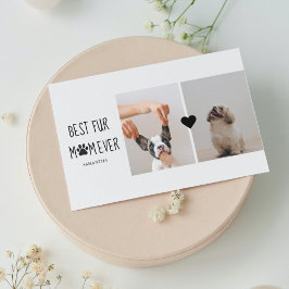 Moderna Melhor Pele Mãe De Todos Os Dias | Foto de