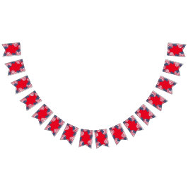 Moderno 4º lugar da bandeira Americana Patriótica