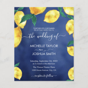 Moderno Orçamento Lemon Capri Itália casamento