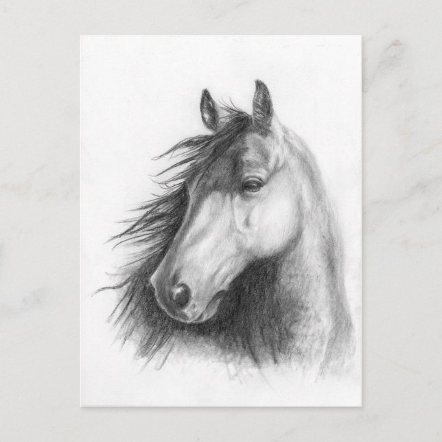 Moe o cartão postal do retrato de Morgan (Frente)