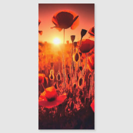 Mohn im Gegenlicht